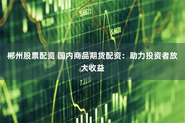 郴州股票配资 国内商品期货配资：助力投资者放大收益