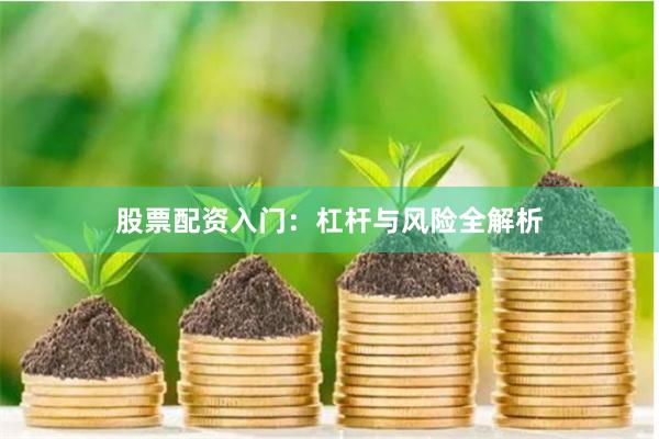 股票配资入门：杠杆与风险全解析