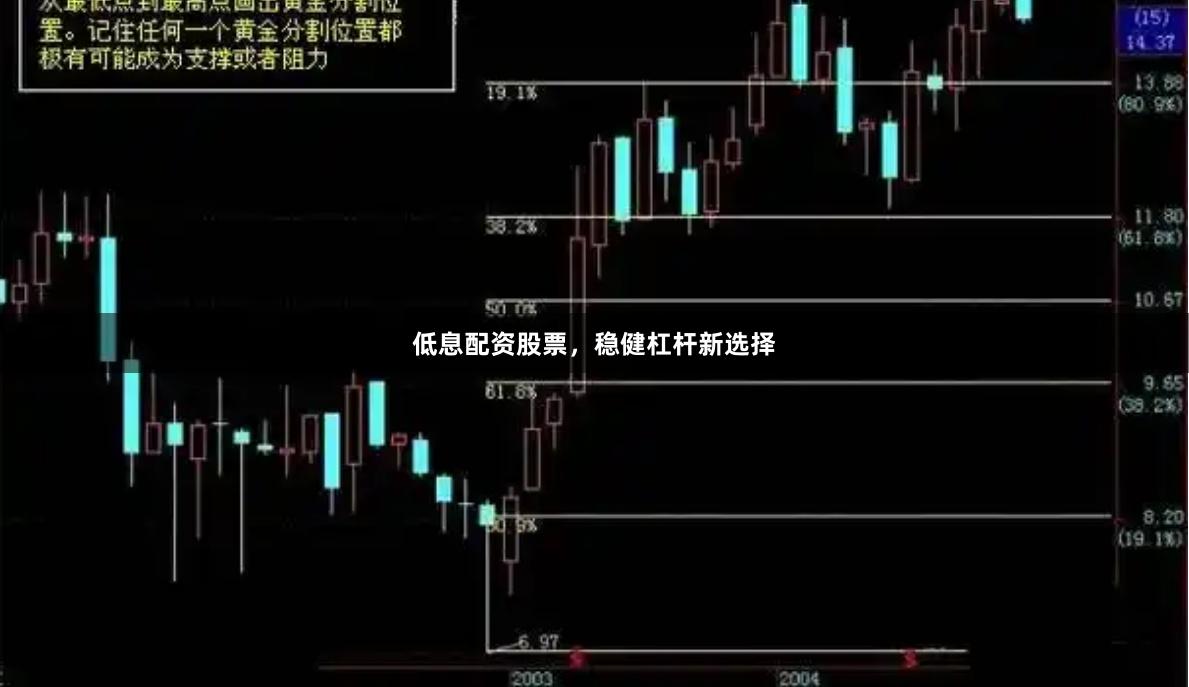 低息配资股票，稳健杠杆新选择