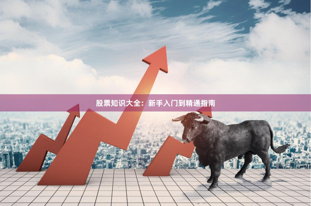股票知识大全：新手入门到精通指南