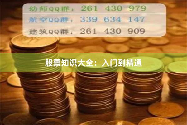 股票知识大全：入门到精通